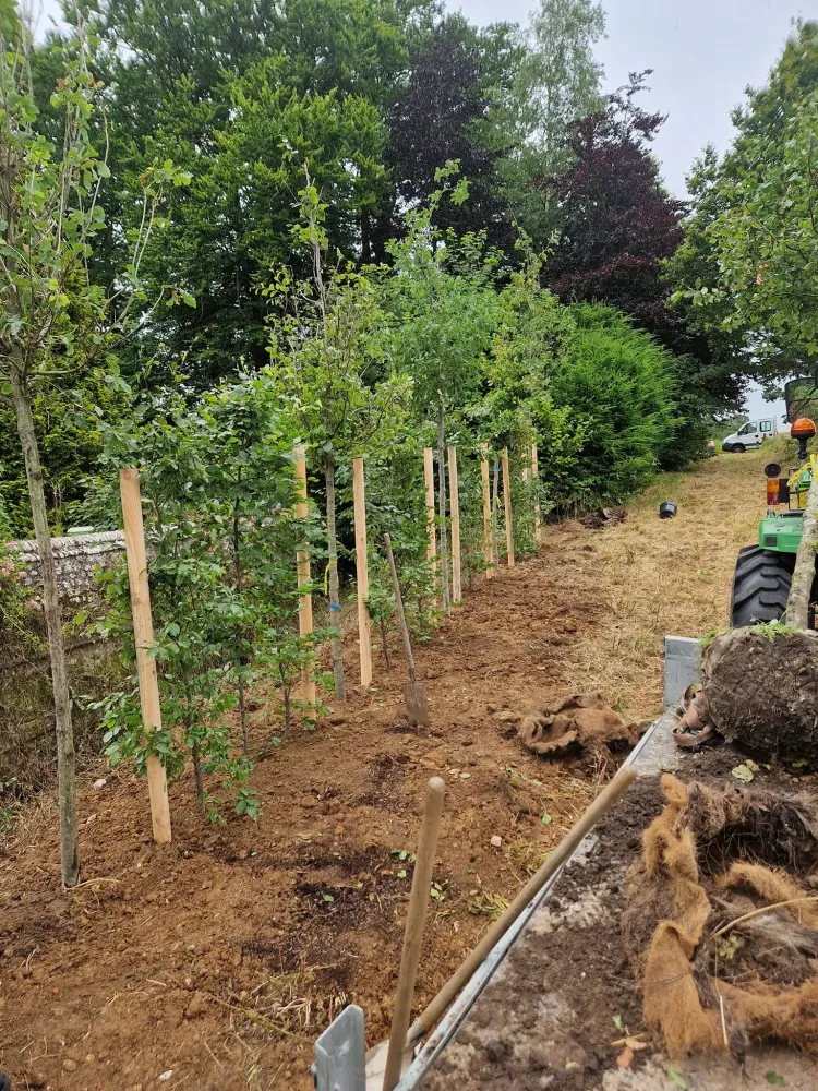Plantation arbre à Saint-Pierre-des-Ifs