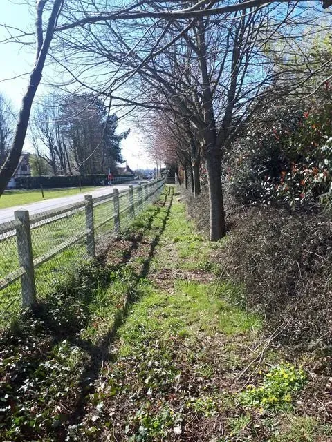 réalisation de clôture